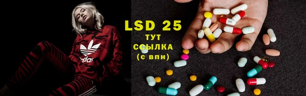 стафф Баксан