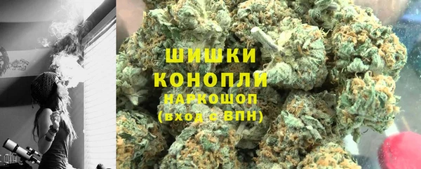 ГАЛЛЮЦИНОГЕННЫЕ ГРИБЫ Балабаново