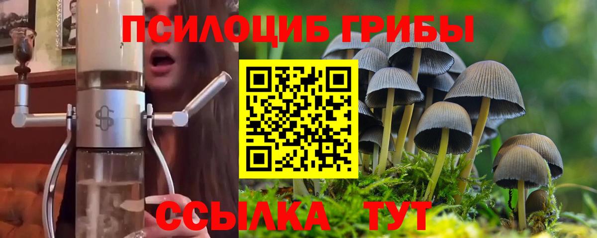 Галлюциногенные грибы прущие грибы Белая Калитва